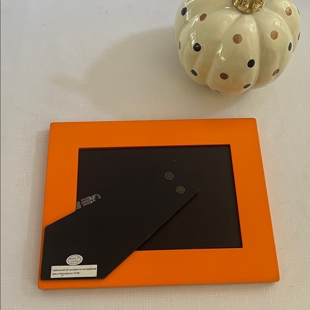 Spooky Frames Skelanimals Diego HTF - Picture 6 of 6